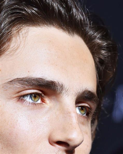 Timothée Chalamet🌻FANPAGE on Instagram: “HQ CLOSE-UPs 🌟CAN WE TALK ABOUT HIS BEAUTIFUL EYES AND ...