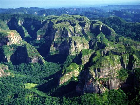 Amboró National Park | National parks, Bolivia, Ecuador