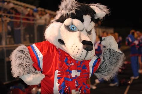 Fundraiser by Matt Holbert : New Husky Mascot