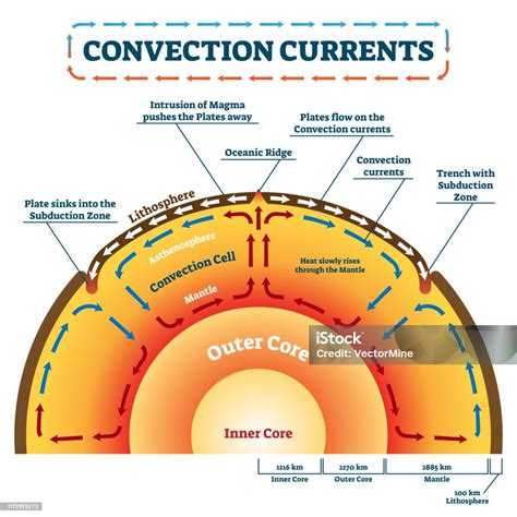 Convection Currents Vector Illustration Labeled Educational Process Scheme Stock Illustration ...