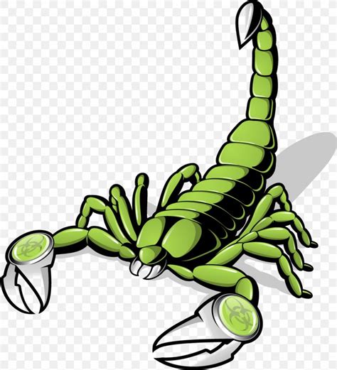 Scorpion Euclidean Vector Clip Art, PNG, 1081x1191px, Scorpion, Arthropod, Artwork, Cdr ...