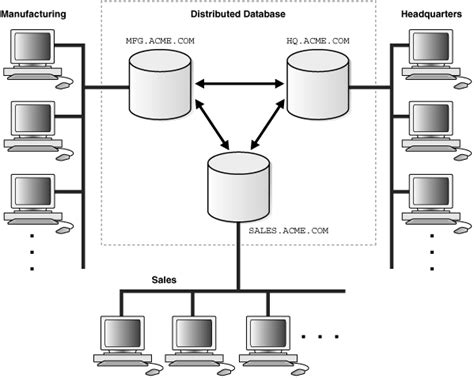 Explain Distributed Database Architecture