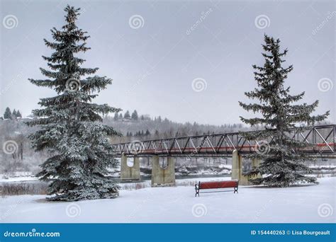 Winter Scenery in an Edmonton Park Stock Image - Image of rivervalley ...