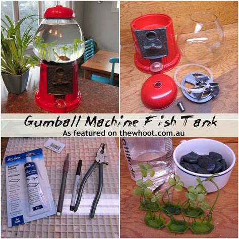 fish tank | Diy glass, Fish tank, Diy