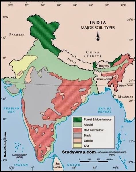 Soil - Types of Soils in India (Indian Soils) - Study Wrap