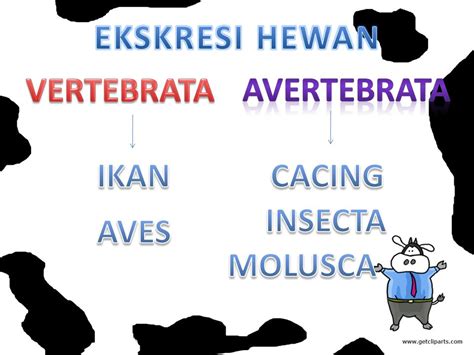 ILovemytask: Sistem Ekskresi pada Hewan