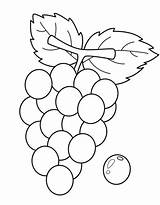 Grapes Coloring Pages Free Printable PDF sketch template