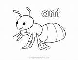 Ant Coloring Page  Little Bee Family sketch template