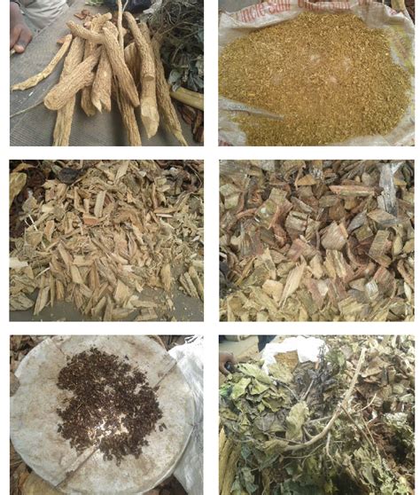 Images of herbs taken at various traditional healing centres | Download ...