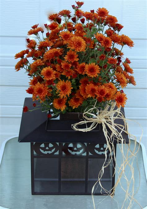 FALL ARRANGEMENTS USING GARDEN MUMS - Sowing the Seeds