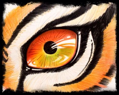 eye Tiger Color pencil | Pencil drawings, Painting & drawing, Drawings