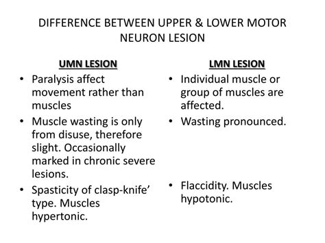 PPT - EXTRAPYRAMIDAL TRACTS & MOTOR NEURON LESIONS PowerPoint Presentation - ID:1913530