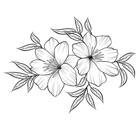 Free Vector line art and hand drawing flower art black and white flat ...