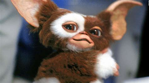 Gizmo Gremlins Wallpaper ·① WallpaperTag