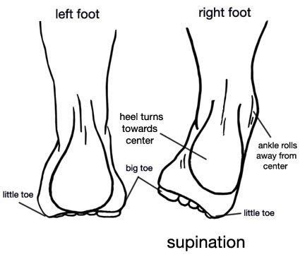 Supination Trauma - Diagnosis, Treatment & Prevention– Bauerfeind Aust