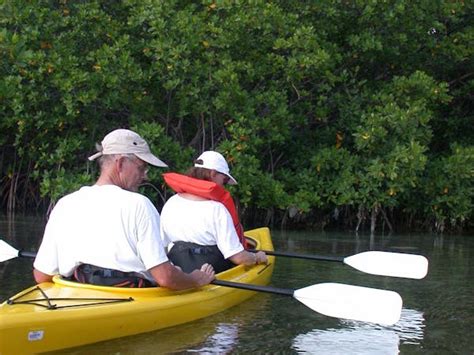 Blue Planet Kayak Eco-Tours | Key West Paddle Tours Rentals