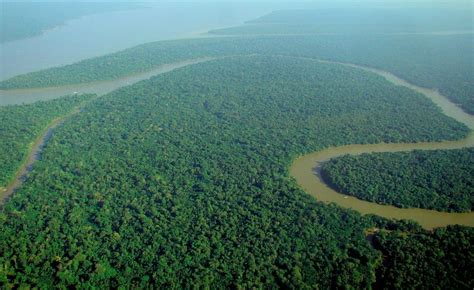 10 Interesting Facts about Amazon Rainforest | 10 Interesting Facts