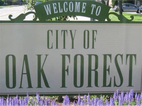 Love Oak Forest? Share Your Stories By Becoming A Patch Mayor | Oak ...