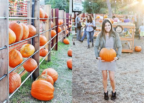 Pumpkin Patch – Doing The Fall Things – Lyndsay Almeida