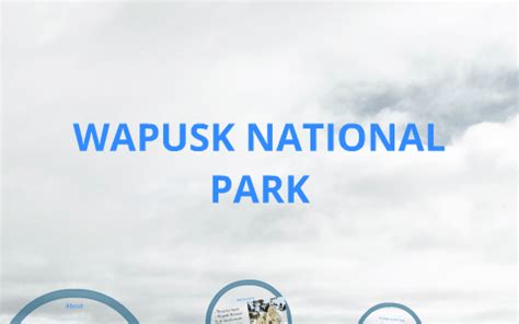 Wapusk national park by alex tai on Prezi