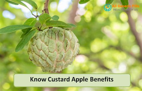 Know Custard Apple Benefits