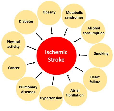 Impact of Cardiovascular Diseases on Ischemic Stroke Outcomes