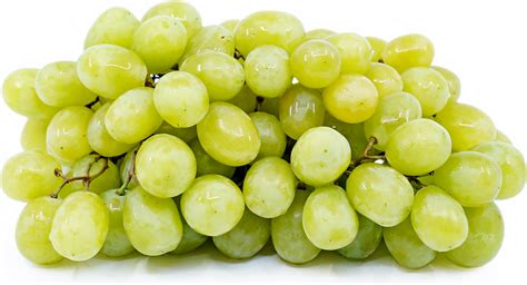 Cotton Candy™ Grapes Information and Facts