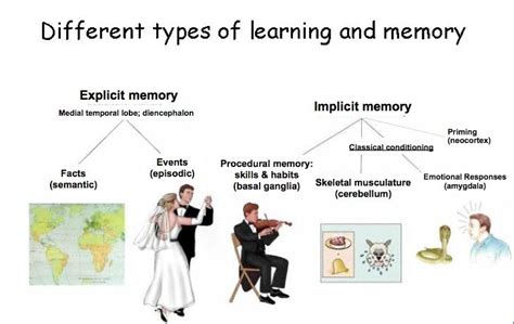 Image result for implicit memory priming | Aprendizagem