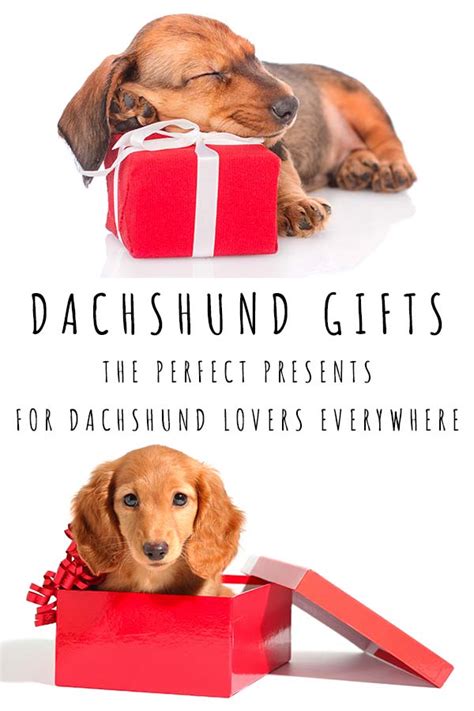 Dachshund Gifts: Unique Gift Ideas For Lovers Of Dachshund Dogs