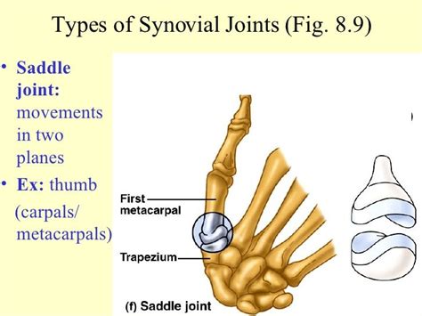 Unit 8 Ppt