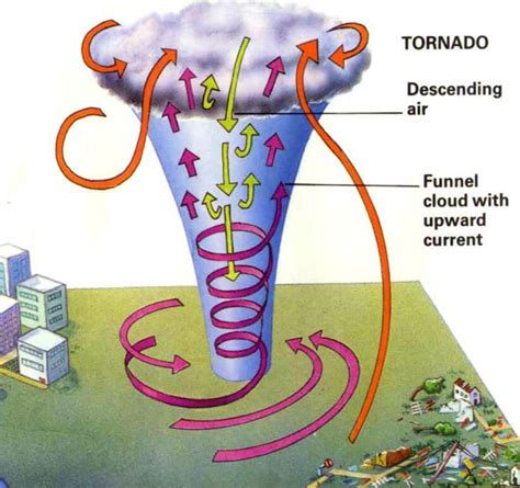 Diagram showing the different wind directions in a tornado. | Tornadoes ...