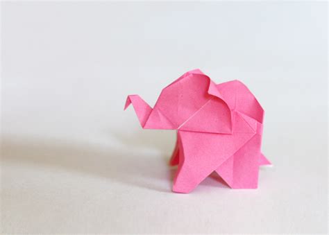 Fold an origami elephant | How About Orange