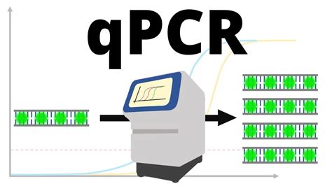 qPCR (real-time PCR) protocol explained - YouTube