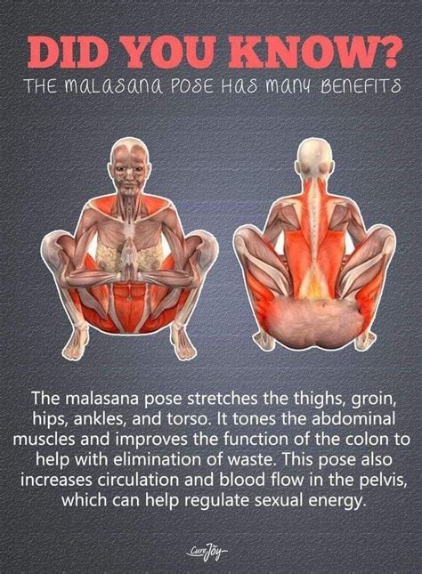 Did you know⁉️ The malasana Pose has many benefits Fitness Workouts ...