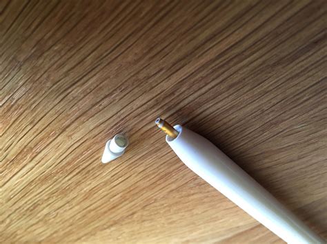 Apple Pencil Review: The Best iPad Stylus