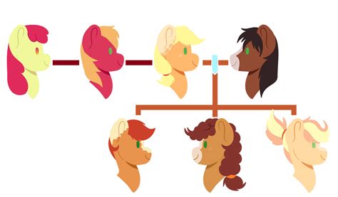 Apple Jack Family Tree by Teal-Quil on DeviantArt