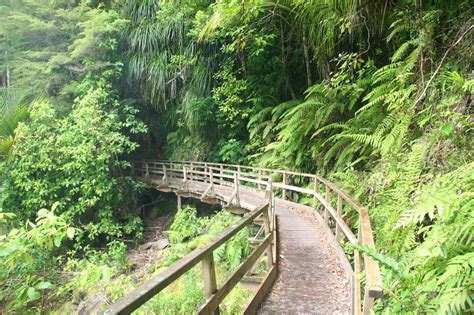 Wainui Falls - Largest Most Accessible Abel Tasman Waterfall