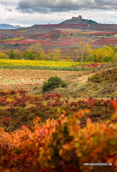 Autumn in La Rioja 20 | Rioja, Spanish wine country, Rioja alavesa