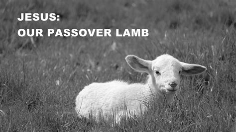 Jesus: Our Passover Lamb - Theocast