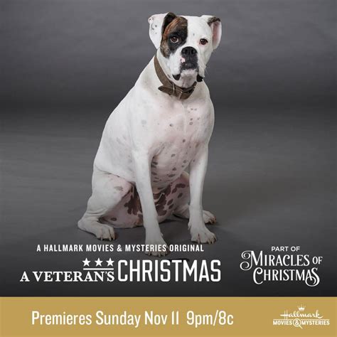 Hallmark Movies & Mysteries "A Veteran's Christmas" Premiering this ...