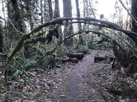 Oxbow Regional Park — Washington Trails Association