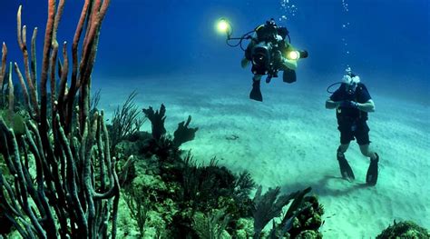 Top 10 Scuba Diving Destinations in the World | Trip Ways