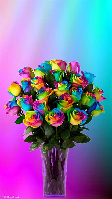 Rainbow Roses, rose, vase, HD phone wallpaper | Peakpx