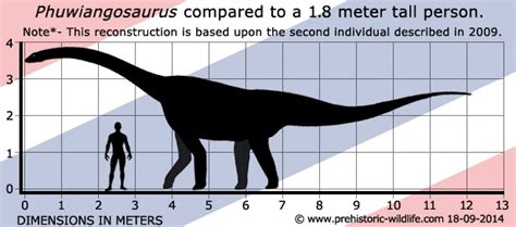 Phuwiangosaurus Pictures & Facts - The Dinosaur Database