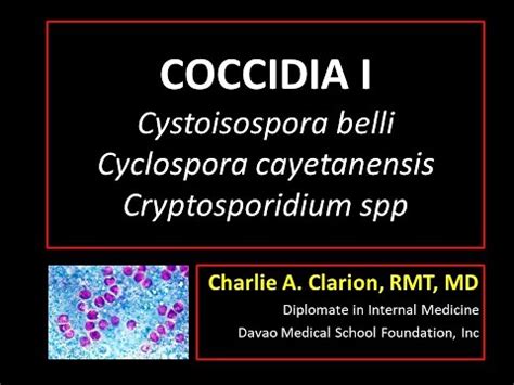 Cyclospora cayetanensis: morphology, life cycle and treatment - science - 2024