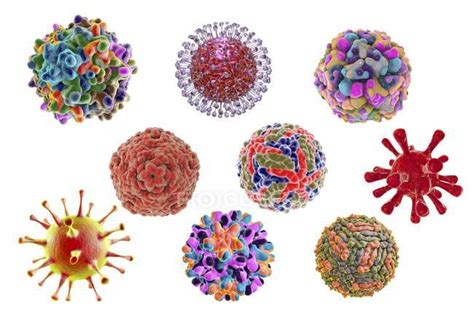 Human pathogenic viruses — shapes, Adenovirus - Stock Photo | #160556116