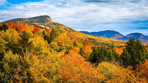 New England Fall Foliage Update, August 2023 - New England Fall Foliage