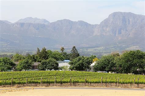 Exclusive Constantia Wine Tasting Tour in Cape Town, South Africa