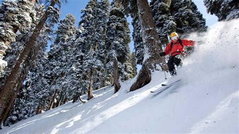 Going skiing in Gulmarg? Here’s what you need to know