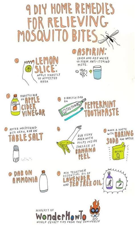 9 DIY Home Remedies for Relieving Itchy Mosquito Bites